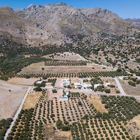 Villa Olvia Sfakia Exterior photo