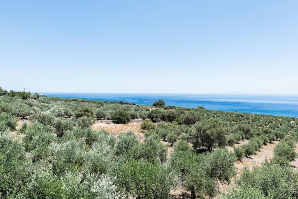 Villa Olvia Sfakia Exterior photo