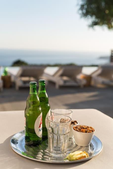 Villa Olvia Sfakia Exterior photo