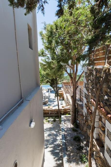 Villa Olvia Sfakia Exterior photo