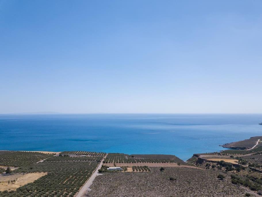 Villa Olvia Sfakia Exterior photo