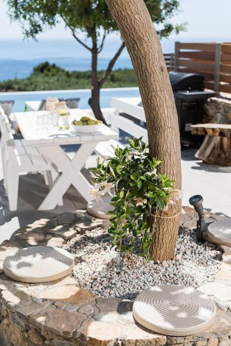 Villa Olvia Sfakia Exterior photo